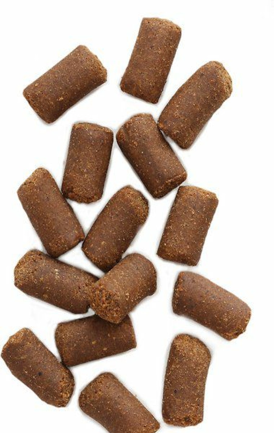 Soft & Chewy Treats * | Earthborn Holistic Earthbites Skin & Coat Natural Moist Grain-Free Treats For Dogs, 7.5-Oz Bag Clearance