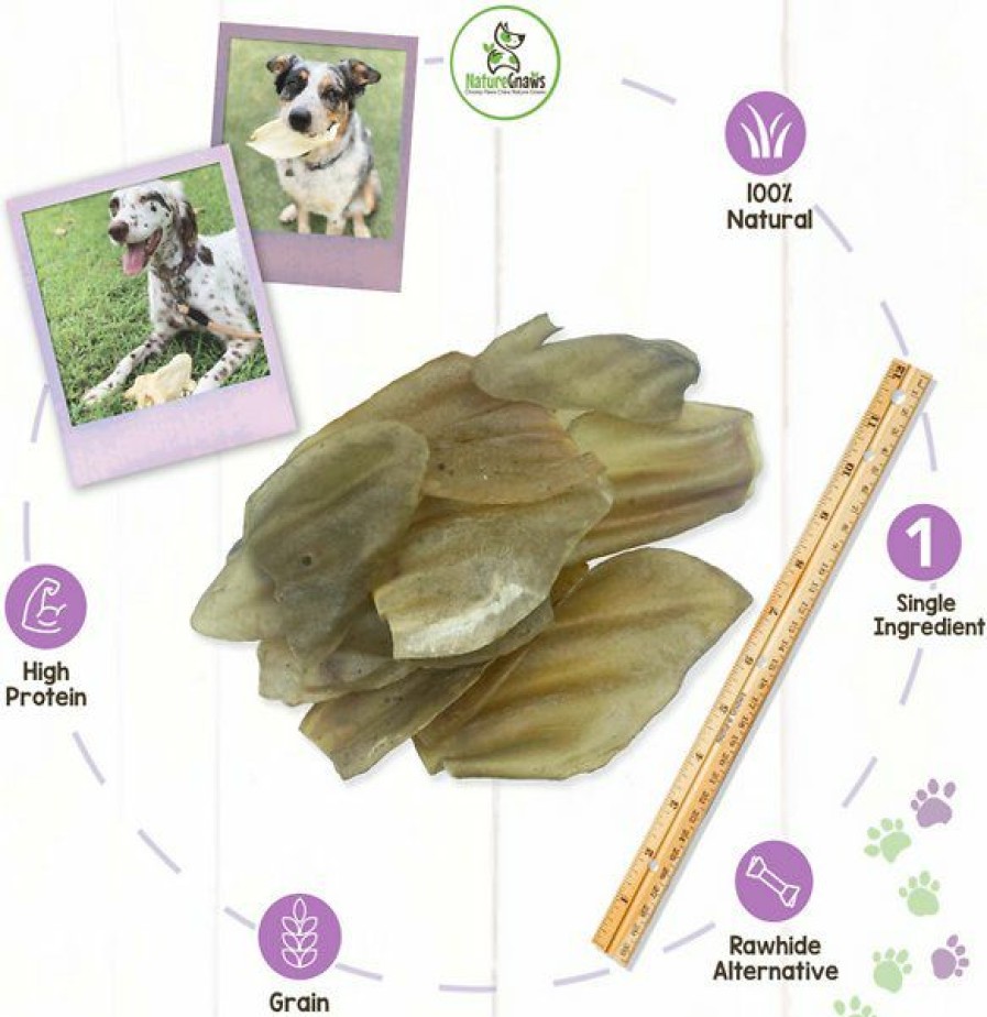 Bones & Natural Chews * | Nature Gnaws Whole Cow Ears Dog Treats Clearance