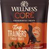 Soft & Chewy Treats * | Wellness Core Tiny Trainers Tender Turkey & Pomegranate Dog Treats, 6-Oz Bag, 6-Oz Bag Online