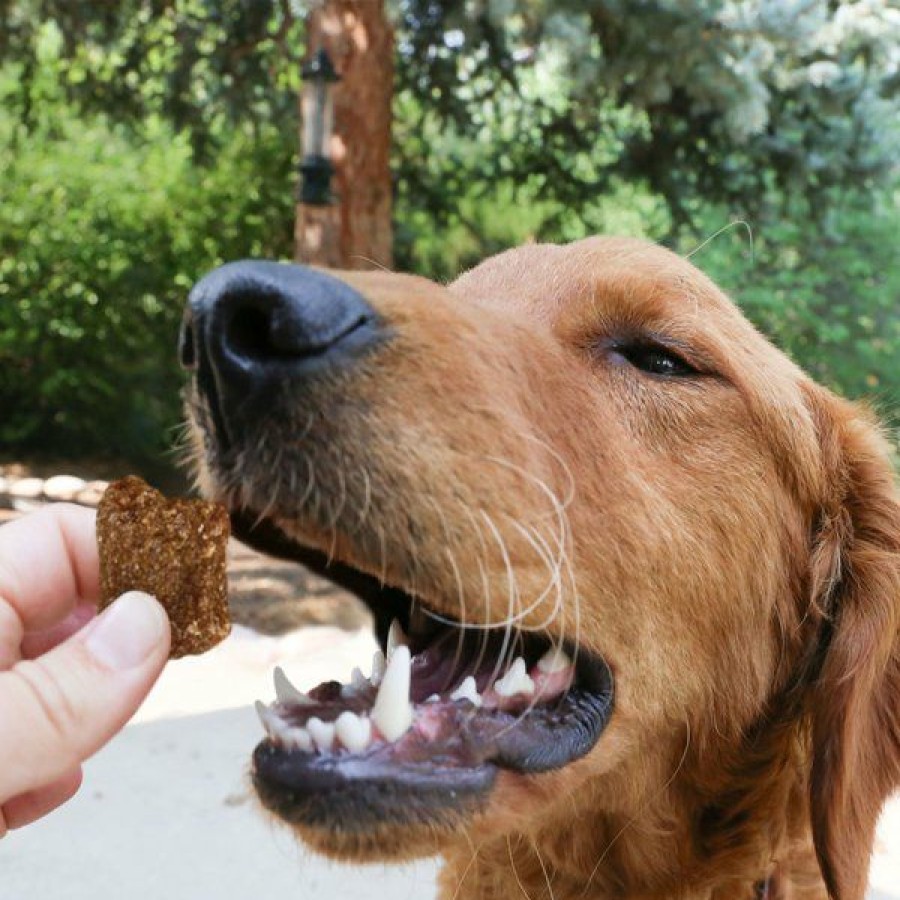 Soft & Chewy Treats * | Kong Kitchen Good Hare Day Grain-Free Rabbit Chewy Dog Treats, 5-Oz Box Online