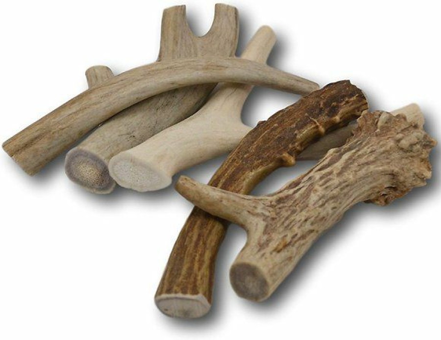 Bones & Natural Chews * | Top Dog Chews Premium Large Antler Dog Treats, 2-Lbs Discount